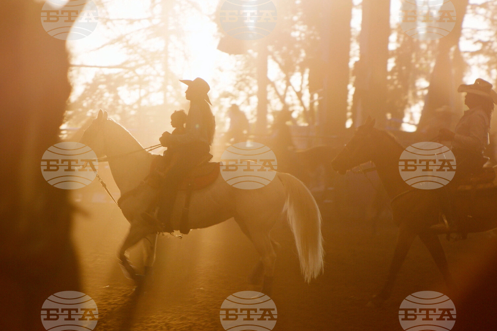 TV - High Horse: The Black Cowboy