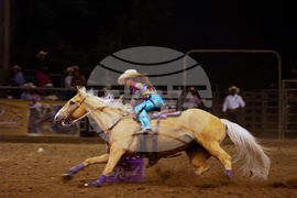 TV - High Horse: The Black Cowboy