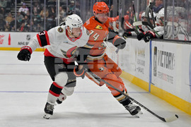 Senators Ducks Hockey