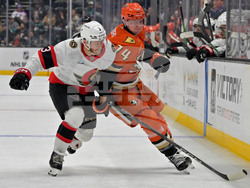 Senators Ducks Hockey