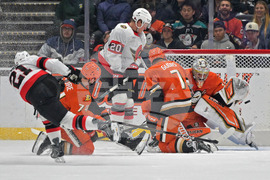 Senators Ducks Hockey