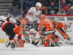 Senators Ducks Hockey