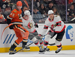 Senators Ducks Hockey