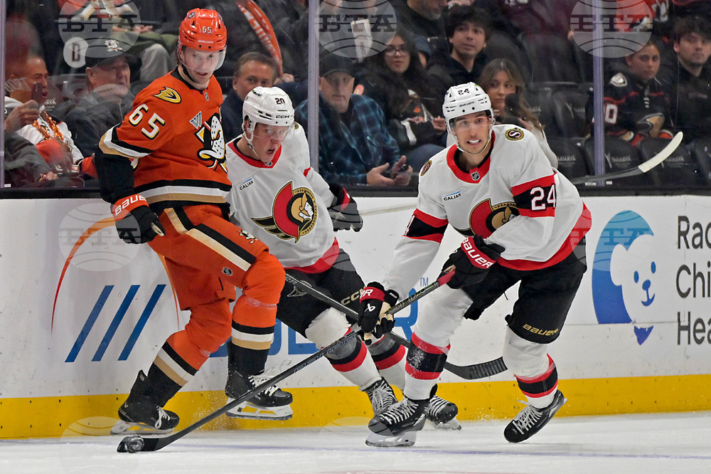 Senators Ducks Hockey