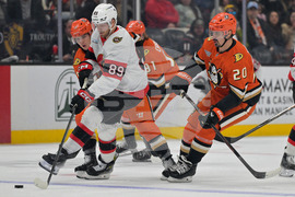 Senators Ducks Hockey