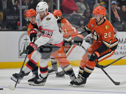 Senators Ducks Hockey