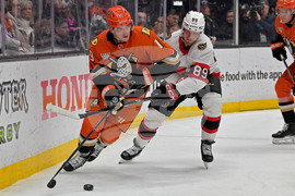 Senators Ducks Hockey