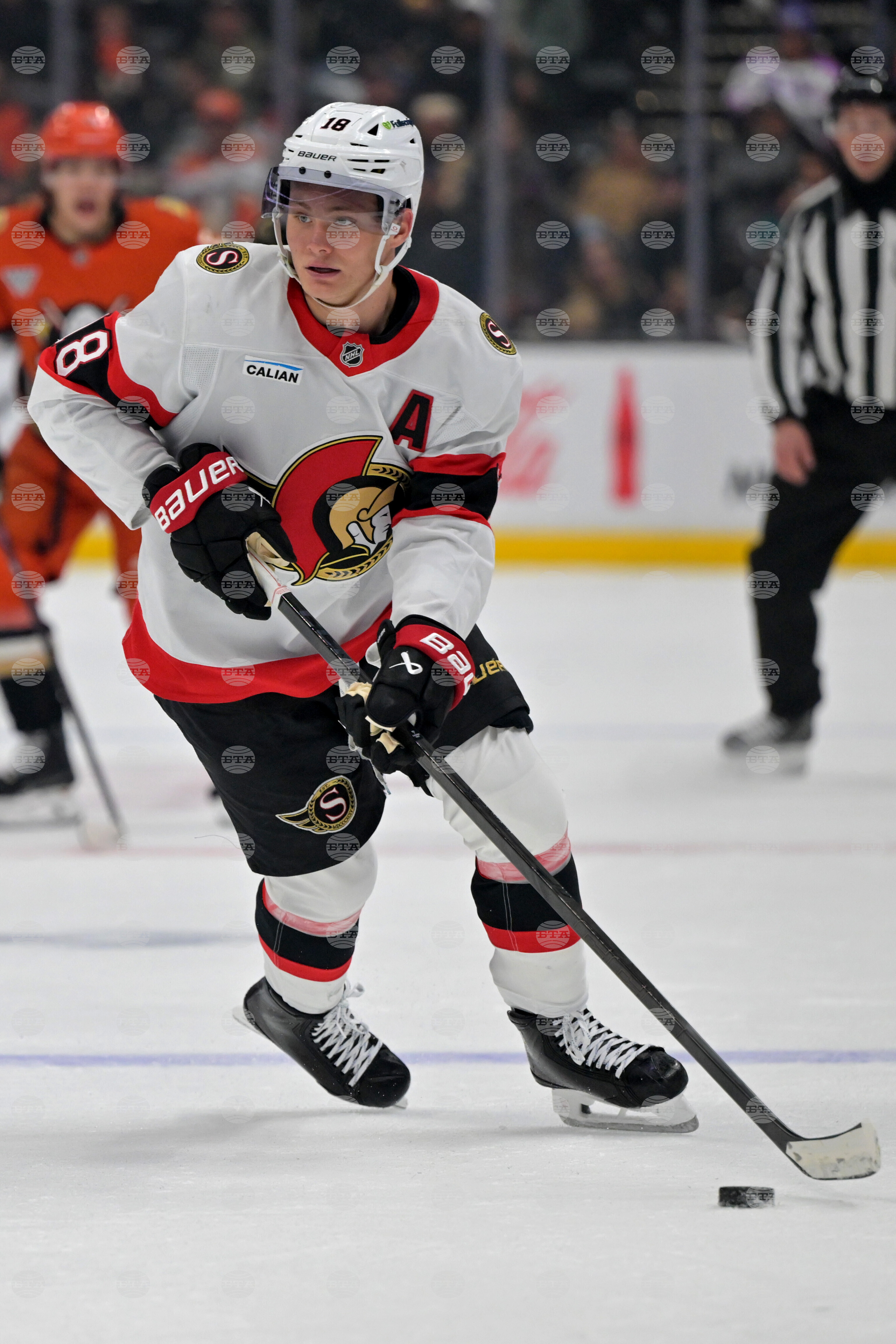 Senators Ducks Hockey