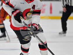 Senators Ducks Hockey