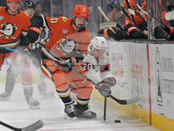 Senators Ducks Hockey