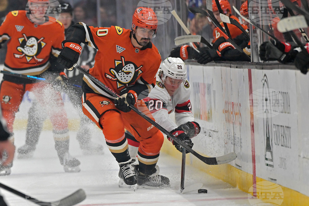 Senators Ducks Hockey