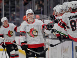 Senators Ducks Hockey