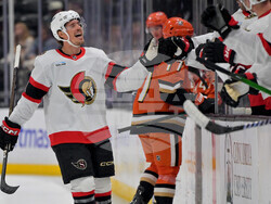 Senators Ducks Hockey