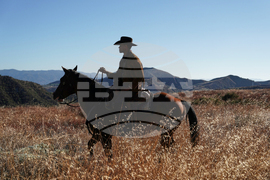 TV - High Horse: The Black Cowboy