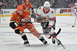 Senators Ducks Hockey