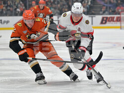 Senators Ducks Hockey