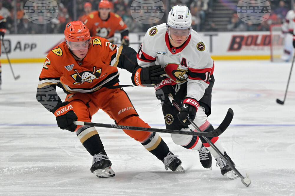 Senators Ducks Hockey