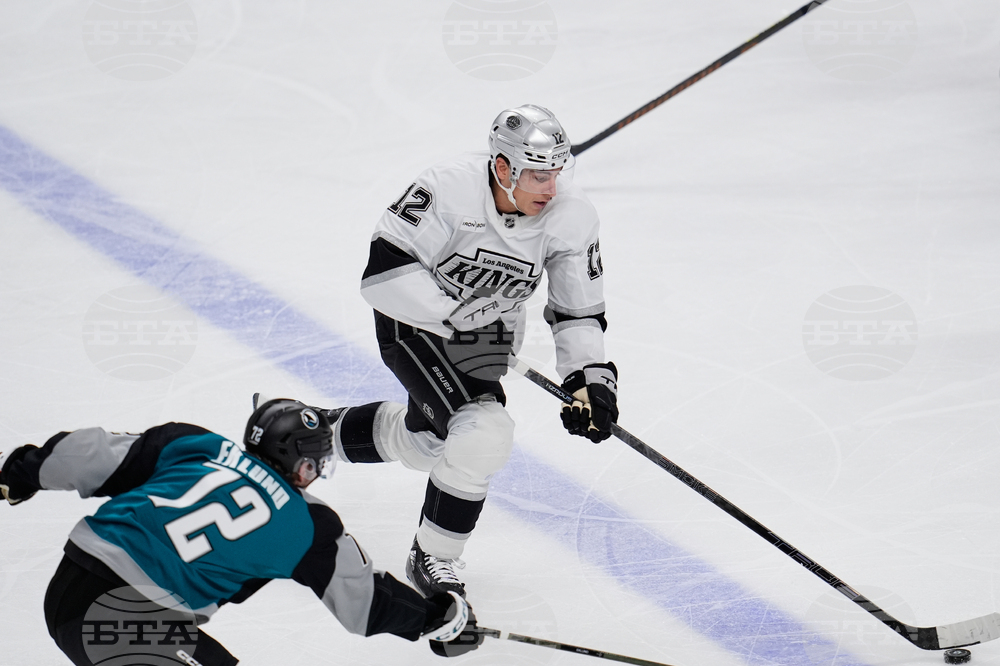 Kings Sharks Hockey