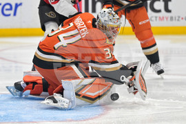 Senators Ducks Hockey