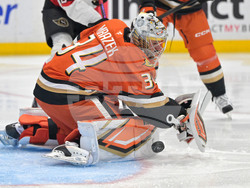 Senators Ducks Hockey