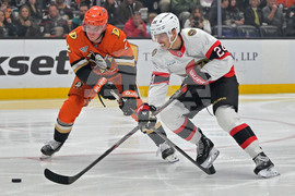 Senators Ducks Hockey
