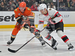 Senators Ducks Hockey