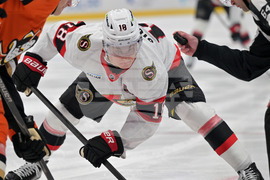 Senators Ducks Hockey