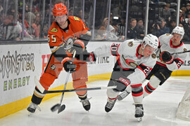 Senators Ducks Hockey