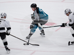 Kings Sharks Hockey