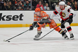 Senators Ducks Hockey