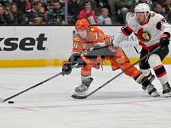 Senators Ducks Hockey
