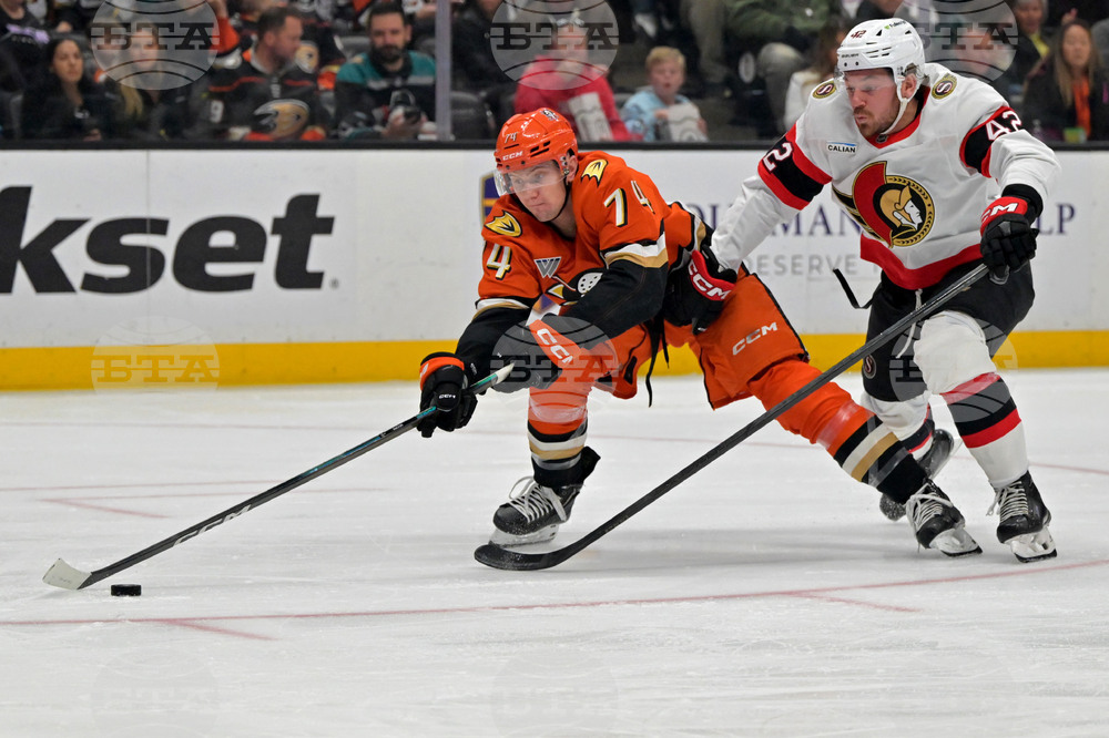 Senators Ducks Hockey