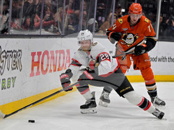 Senators Ducks Hockey