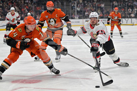 Senators Ducks Hockey