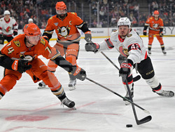 Senators Ducks Hockey