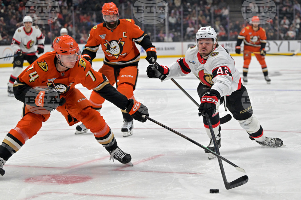 Senators Ducks Hockey