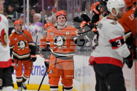 Senators Ducks Hockey