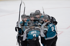 Kings Sharks Hockey