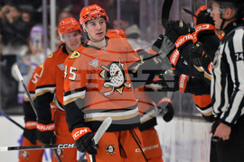 Senators Ducks Hockey