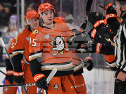 Senators Ducks Hockey