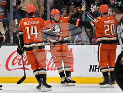 Senators Ducks Hockey