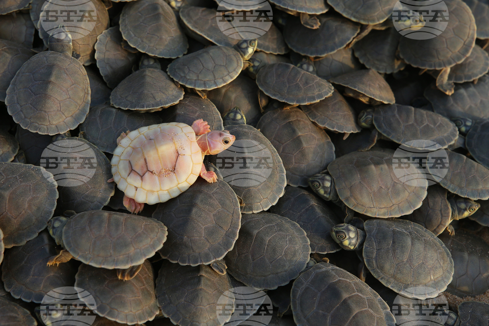 Pictures of the Week Latin America and Caribbean Photo Gallery