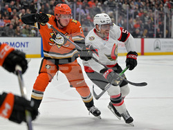 Senators Ducks Hockey