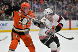 Senators Ducks Hockey