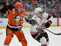 Senators Ducks Hockey