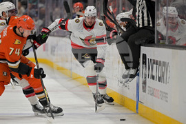 Senators Ducks Hockey