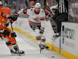 Senators Ducks Hockey