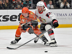 Senators Ducks Hockey