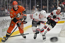 Senators Ducks Hockey