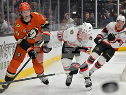 Senators Ducks Hockey